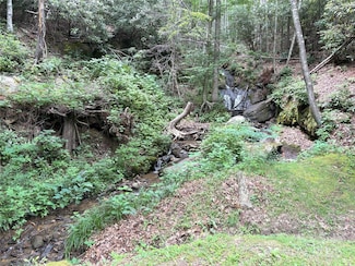 000 Valley View Dr Unit 14, Maggie Valley, NC 28751