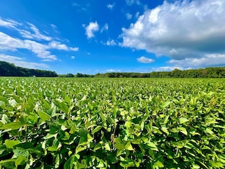Lot 148 County Rd, Parksley, VA 23421