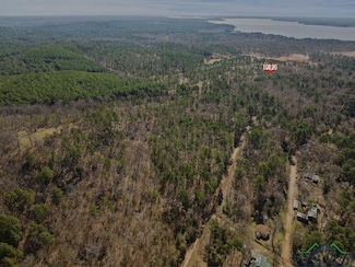 TBD Grainger Rd, Lone Star, TX 75668