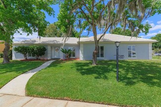 9204 Pebble Creek Dr, Tampa, FL 33647