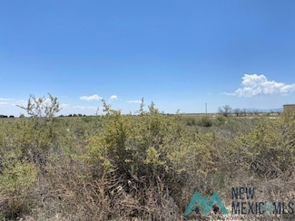 0 Clements Rd & Andrew Rd Unit 20243230, Estancia, NM 87016