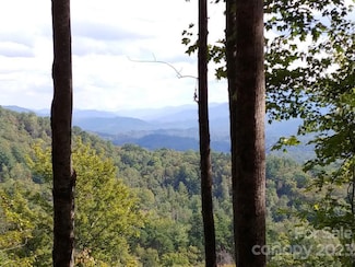 Lot 45 Thomas Divide Trail, Bryson City, NC 28713