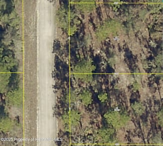 Lot 61 Parakeet Rd, Weeki Wachee, FL 34614