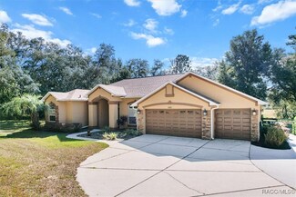 2380 W Aleuts Dr, Beverly Hills, FL 34465