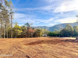 Lot 3 Peachie Way, Cosby, TN 37722
