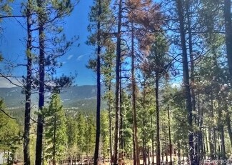 233 Renaud Rd, Bailey, CO 80421