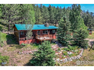 1495 Cold Springs Rd, Nederland, CO 80466