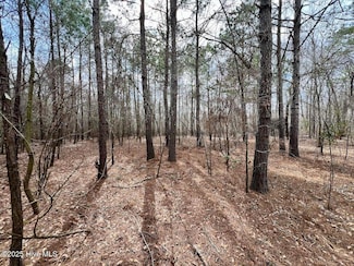 0 Jolly Ole Field Rd, Grifton, NC 28530