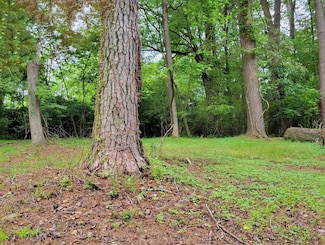 0 Center St Unit 15 11492953, Lafayette, GA 30728