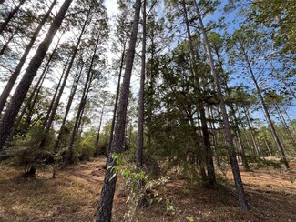 9690 Creek Vista Ln, Willis, TX 77378