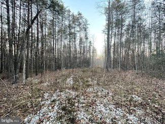 0 Bell Rd Unit VAGO2000298, Goochland, VA 23063