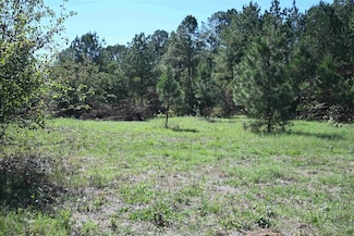 000 Grant 45, Prattsville, AR 72129