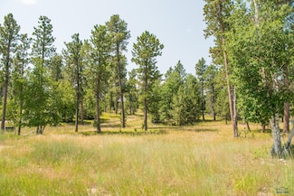 TBD Rubys Way, Lead, SD 57754