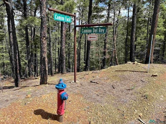 24 Camino Facil, Rociada, NM 87742