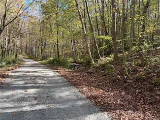 Lot 1 Neals Run Rd, Saltlick Township, PA 15622