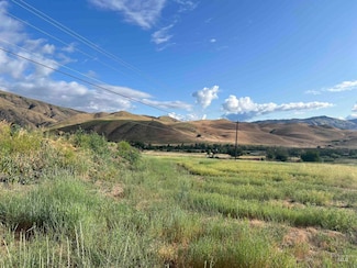 Lot 1 Mallard Ln, Horseshoe Bend, ID 83629