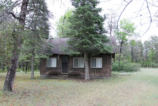1369 S Stephan Bridge Rd, Grayling, MI 49738