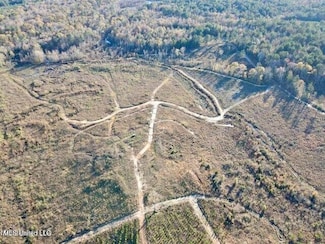 0 Hwy 11 Unit 23893505, Heidelberg, MS 39439