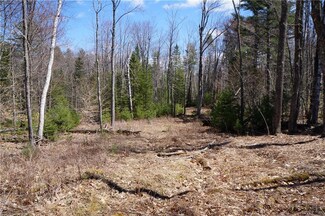 Lot 0 Ridge Rd, Bowdoinham, ME 04008