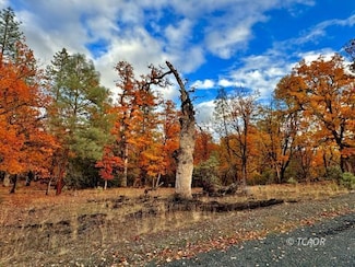 111 Oliva Dr, Hayfork, CA 96041