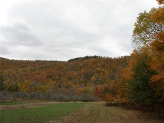 0 Gregory Hollow Rd Unit R1618237, Hamden, NY 13782