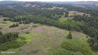 61189 Master Ave, Homer, AK 99603