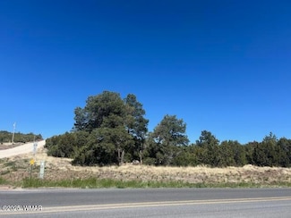 lot 7 N Stanford, Vernon, AZ 85940