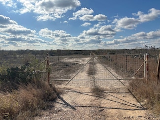 4 Acres - 1300 Camino Don Antonio, Laredo, TX 78043