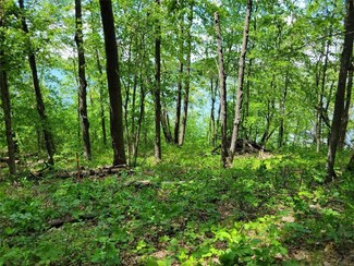 TBD E Wimer Lake Rd, Hobart Township, MN 56544