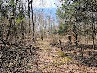 0WP County Rd 32, Greene, NY 13778