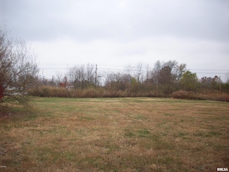 Lot 1 Hanson Dr, Mount Vernon, IL 62864