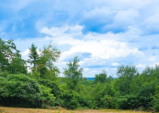 108 Hopkins Rd, Dummerston, VT 05301