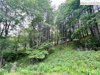 Lot 3 Riverwood Ln, Sugar Grove, NC 28679