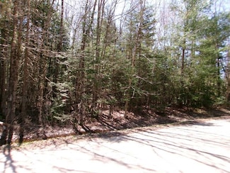 0 Aspen Ln Unit 5038944, Danbury, NH 03230