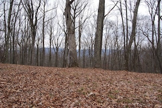 11 Seldom Seen Rd, Great Cacapon, WV 25422