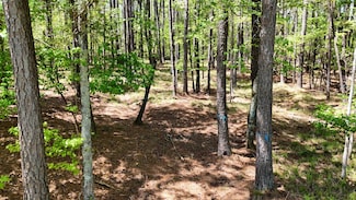 1171 Club Cove Dr, Greensboro, GA 30642