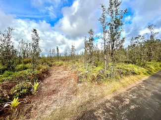 0 Road 2 (Ao) Unit 712943, Kurtistown, HI 96760