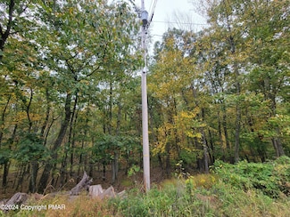 16 & 17 Summit Dr, Middle Smithfield Township, PA 18302