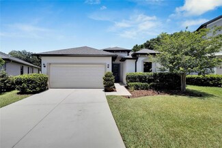 151 Elina Sky Dr, Seffner, FL 33584