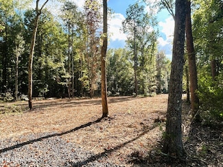 Tract 3 Pleasant Hill Rd, Ten Mile, TN 37880