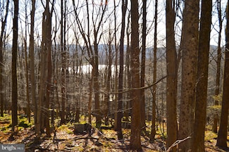 Lot 154 Daisey Dr, Terra Alta, WV 26764