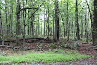 Lot 1906 Horizon Dr, Greene Township, PA 18426
