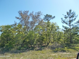 Lot 11 Alden St Unit 8, Chipley, FL 32428