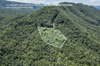 Lot 111C Puett Cove Estates, Marble, NC 28905