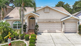 11216 Longbrooke Dr, Riverview, FL 33579
