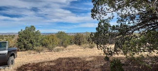 32369 Ave Bailar -- W Unit 2972, Seligman, AZ 86337