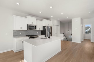6738 Wildflower Way, Minnetrista, MN 55331