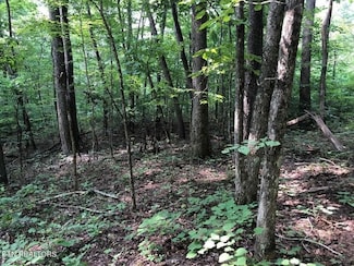 0 Jackson Hollow Rd Unit 23403547, Thorn Hill, TN 37881