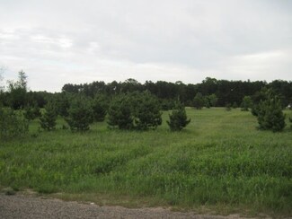 4 Acres 11th Ave, Grand Marsh, WI 53936
