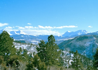 17 Dragon Lode Dr, Placerville, CO 81430